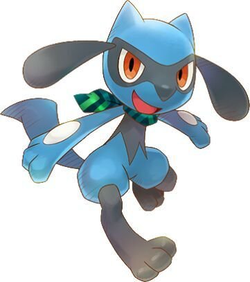 Riolu Riolu