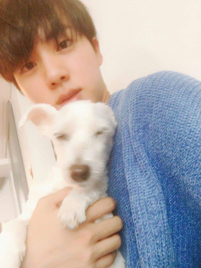 Jin's dog died. I am crying it's so sad :( .They lived together for 12