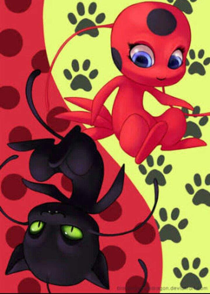 Fondos de pantalla de ladybug 2 Miraculous Ladybug Español Amino