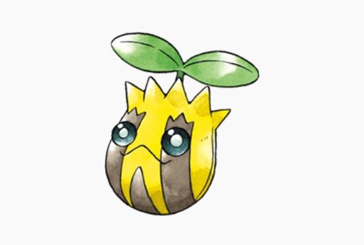 acorn pokemon