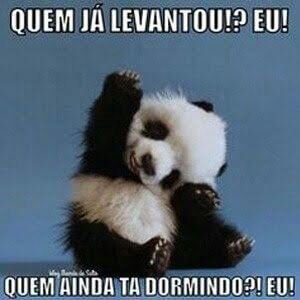 Bom dia *^* | 🐾 Pets Em Geral 🐾 Amino Bom dia *^* | 🐾 Pets Em Geral 🐾 Amino