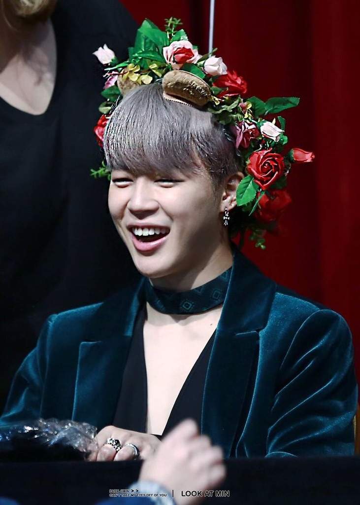 Jimin Flower Crown Army S Amino