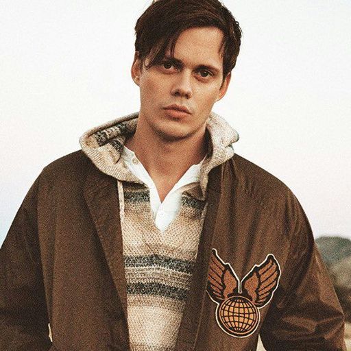 Bill Skarsgård | Wiki | •Anime• Amino