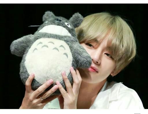 taehyung peluche