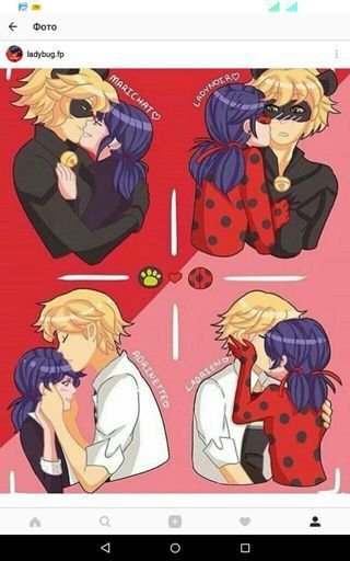 Разбор периногов [МариКот] | Wiki | 🐞Russian Miraculers🐞 Amino