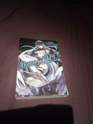 Akame Ga Kill 30 Day Challenge 26 Akame Ga Kill Amino 9585