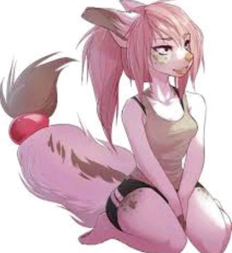 my-name-is-lily-wiki-bisexual-furries-amino