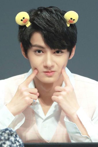 Wen Junhui Wiki Lumeria Amino