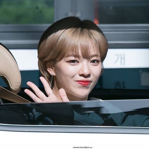 JEONGYEON Birthday Week | Twice (트와이스)ㅤ Amino