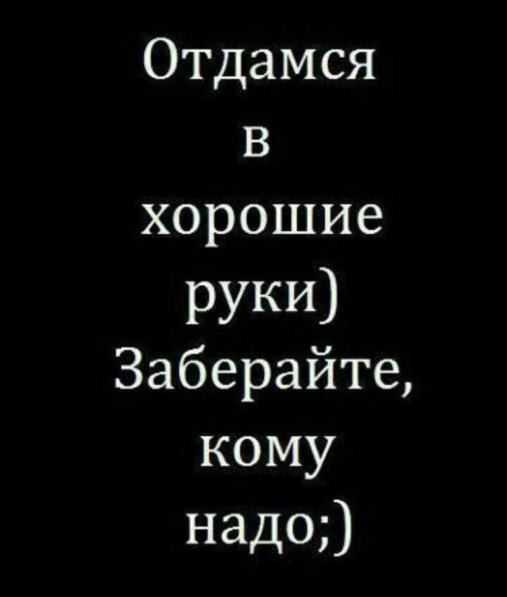 Отдамся в хорошие руки картинки прикольные