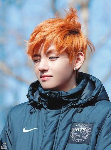 Orange Haired V Bright Orange During The Boy In Luv Era Was A Classic Army S Amino