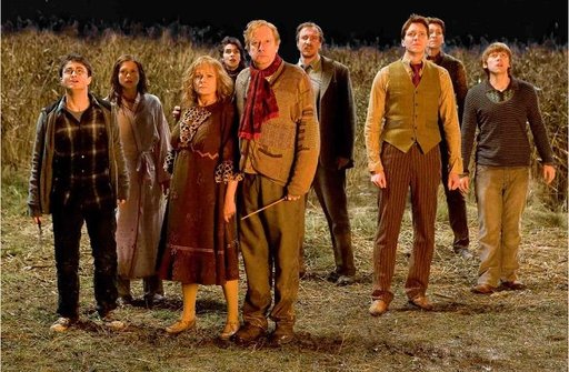 harry potter attack of the burrow