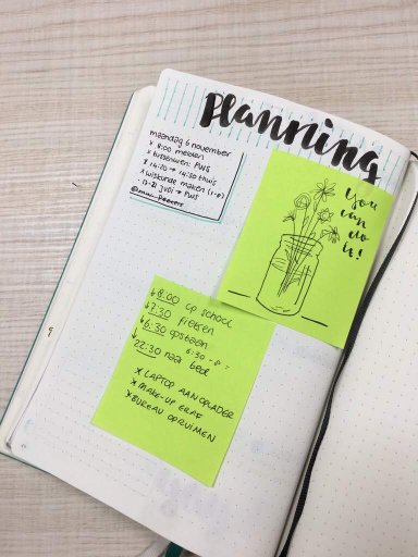 Schedule Studying Amino Amino