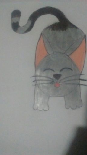 Aprenda A Desenhar Um Gato Desenhistas Do Amino Amino