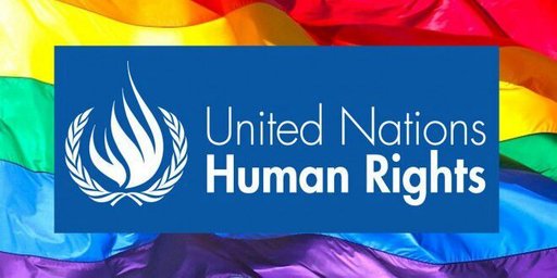 International gay and lesbian human rights commission