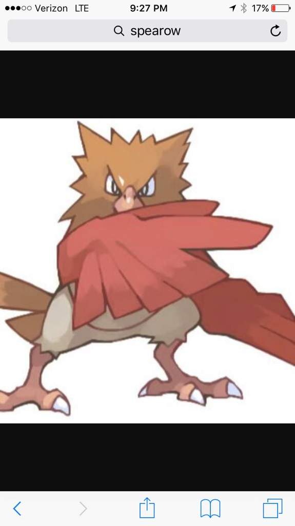 Spearow Wiki Pok Mon Amino