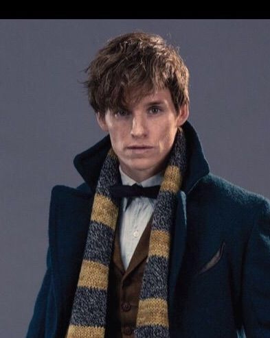 Newton Scamander | Wiki | Harry Potter Amino