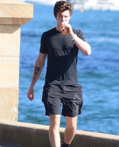 shawn mendes joggers