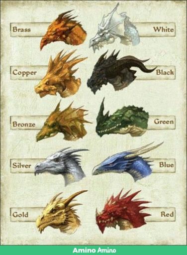 school of dragons dragon list