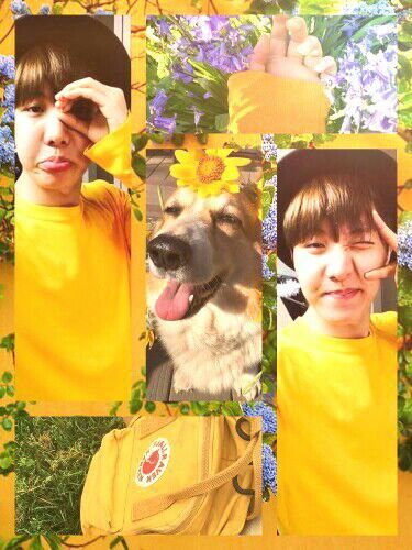 Jhope Yellow And Grey Símply Aesthetíc Amino 