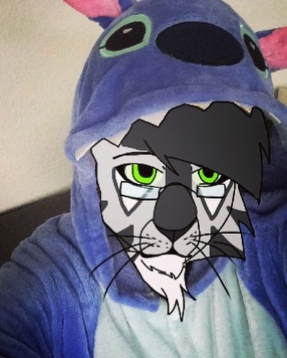 Selfie Wiki German Furries Amino