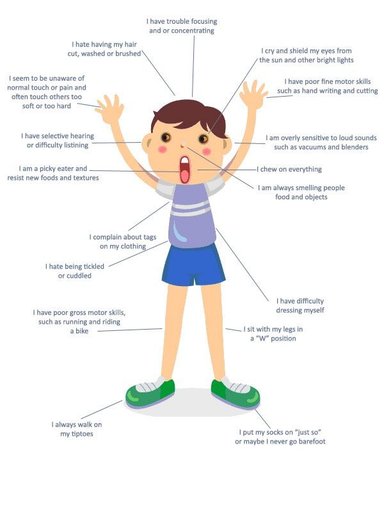 Is Sensory Processing Disorder Real >> Sensory Processing Disorder Spd Wiki Service Dogs Amino Is Sensory Processing Disorder Real >> Sensory Processing Disorder Spd Wiki Service Dogs Amino