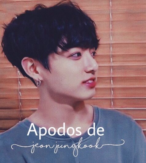 Apodos De Jeon Jungkook Bts Army Amino Amino