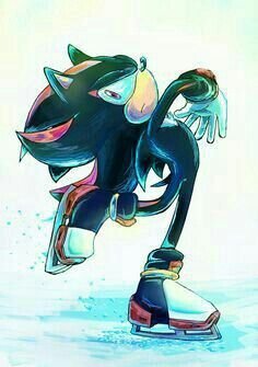 shadow the hedgehog skating