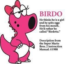 do you think birdo