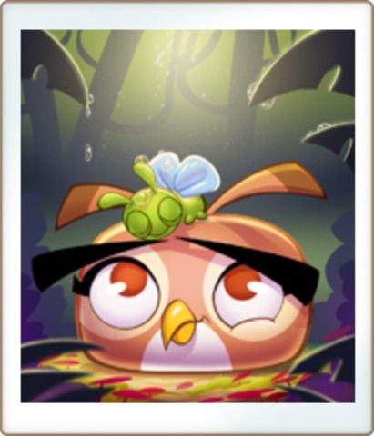 Dahlia | Wiki | Angry Birds Fans Amino Amino