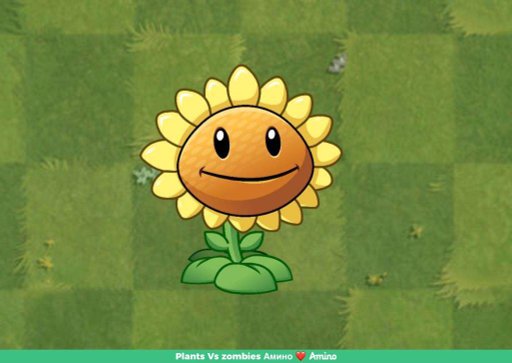 Подсолнух | Wiki | Plants Vs zombies Амино ️ Amino