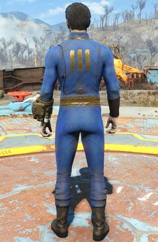 top grafisch regelmatig My Fallout 4 Gear | Fallout Amino