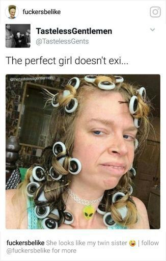Perfect Girl Doesn T Exist Memes Amino