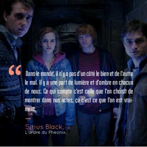 Citation harry potter Harry Potter Fr Amino