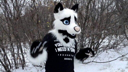 Кто такие фурри | Wiki | 🐼Фурри Украина🐼 Amino