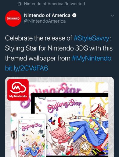 style savvy for switch