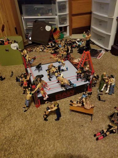 wwe figure set up