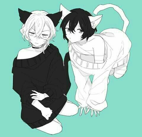 Yaoi Neko