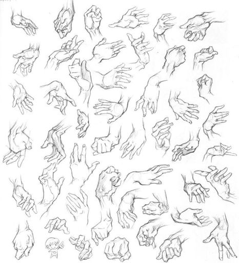 Hand References | Wiki | Traditional🖋Artists Amino