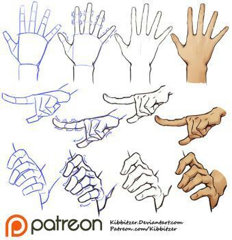 Hand References | Wiki | Traditional🖋Artists Amino