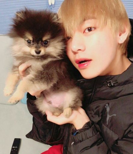 Yeontan | Wiki | BTS Amino