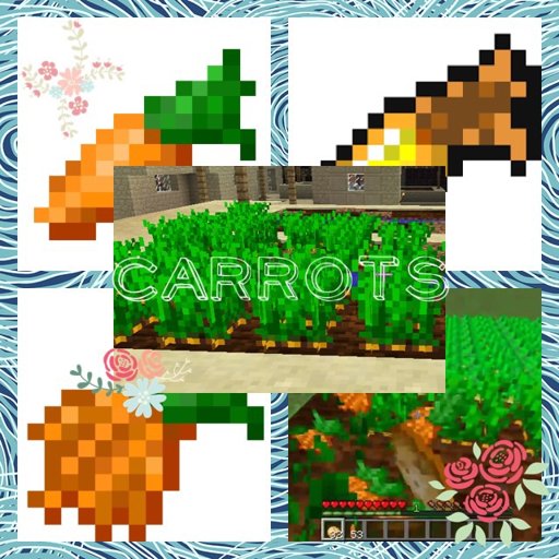 minecraft golden carrot farm