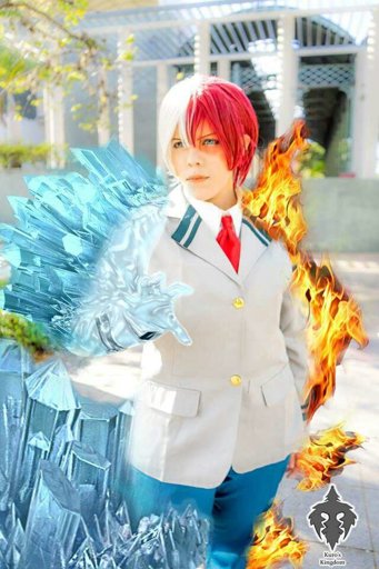 todoroki fire and ice cosplay