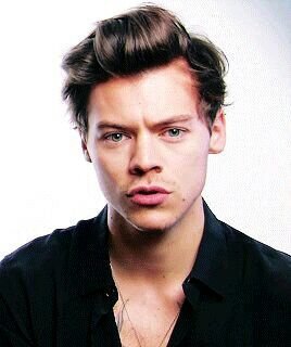 Harry Styles هاري ستايلز Wiki نيتفليكس Amino Amino