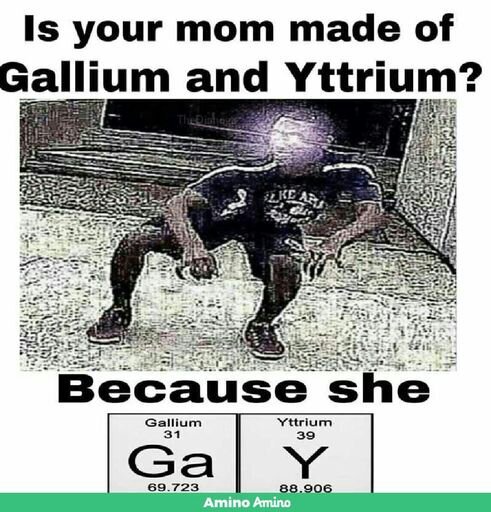your mom the big gay meme