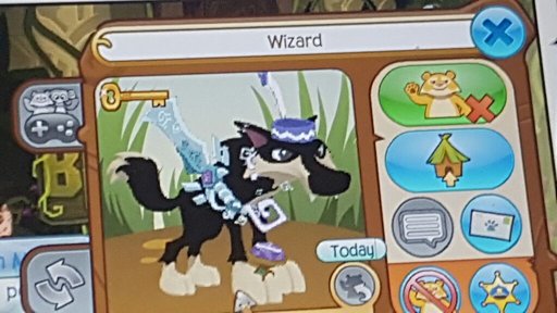 animal jam hackers lost jammer