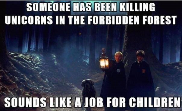 Funny Memes Only True Potterheads Will Understand P Harry Potter Amino