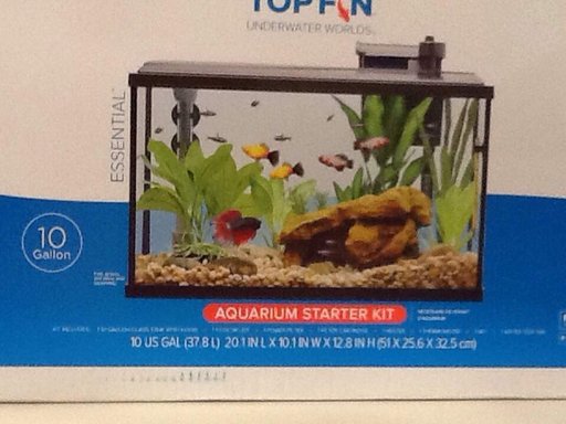 petsmart 10 gallon aquarium