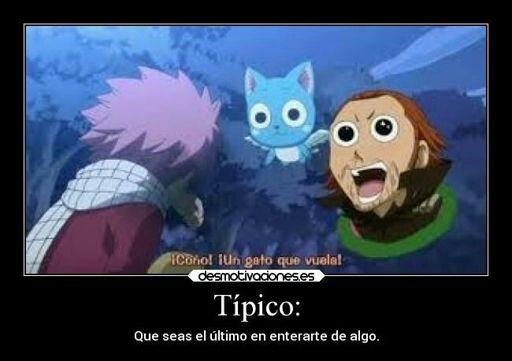 Dejo Este Meme Aqui Y Me Retiro Lentamente Fairy Tail Eden S Zero Amino