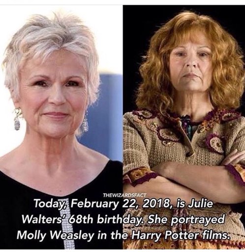 julie walters molly weasley